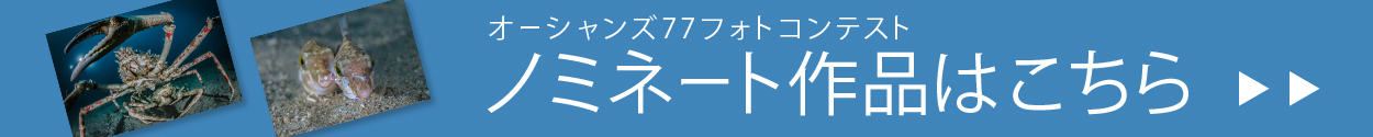 ノミネート作品はこちら