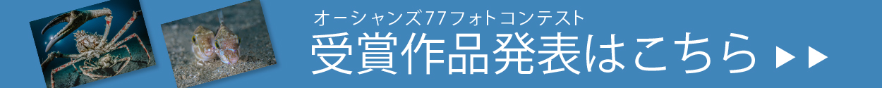 受賞作品はこちら